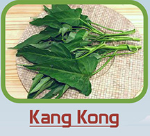 Kang Kong